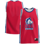 Colorado State Pueblo Thunderwolves GameDay Greats Lightweight Basketball Jersey - Blue - Lynsiley